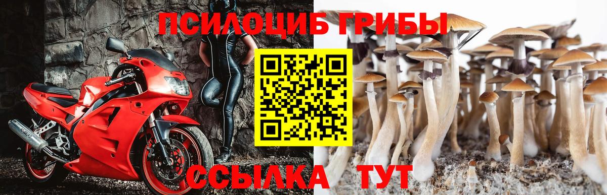 Знаменск  Галлюциногенные грибы мицелий  Галлюциногенные грибы мухоморы  Вход с VPN 